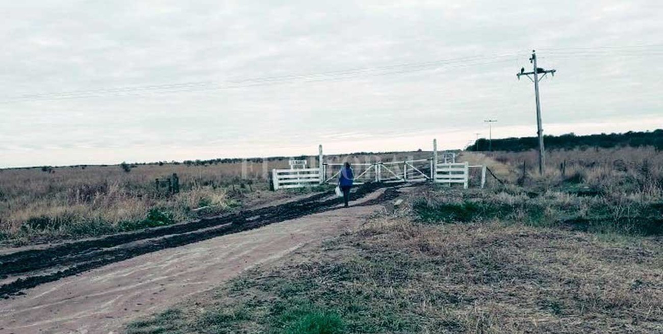 La tarea colgada en la tranquera: la escuela rural le hace frente al Covid