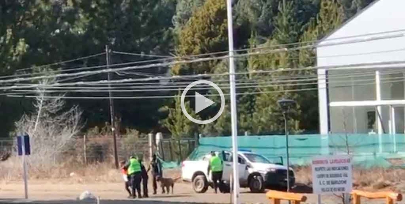 Bariloche: una mujer fue detenida por pasear al perro y violar la cuarentena 