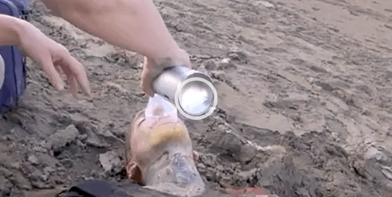 Alexander Caniggia debutó en un reality de supervivencia: se descompuso y fue llevado en ambulancia