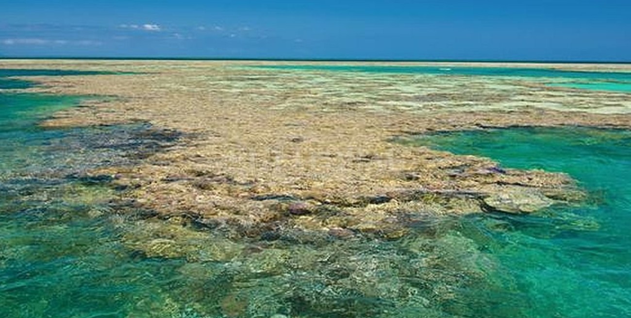 Australia: preocupa un nuevo blanqueo en el arrecife de corales