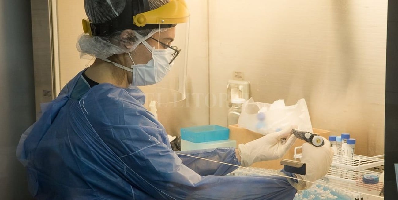 El LIF produce tres nuevas especialidades medicinales