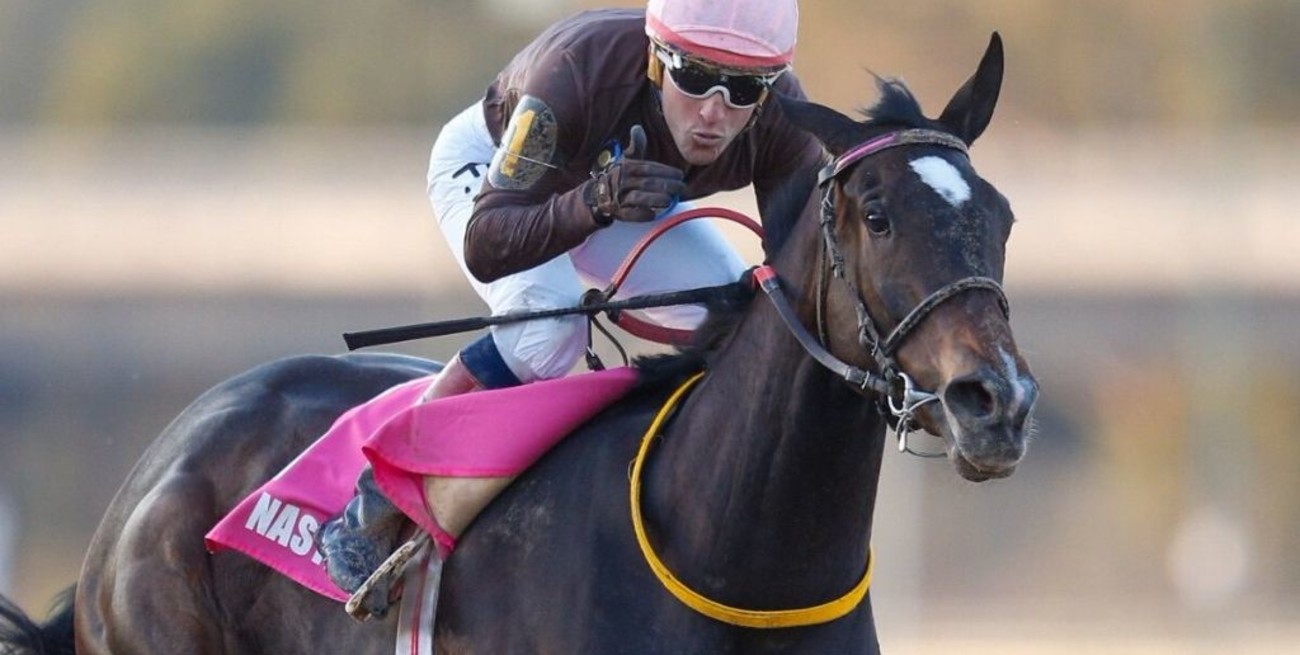 El Gran Premio Latinoamericano contará con la presencia de Miriñaque, Imperador y Seas Alabada
