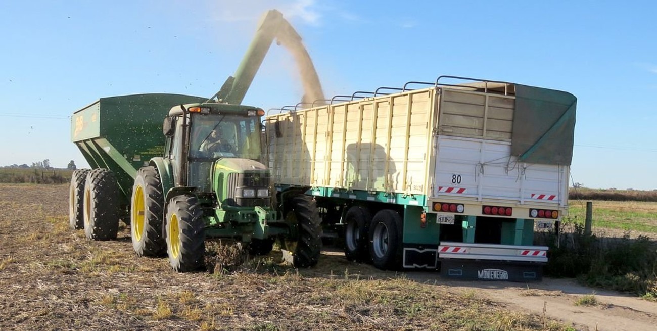 Según la FADA, "el Estado es socio al 62,6%" en las ganancias del campo