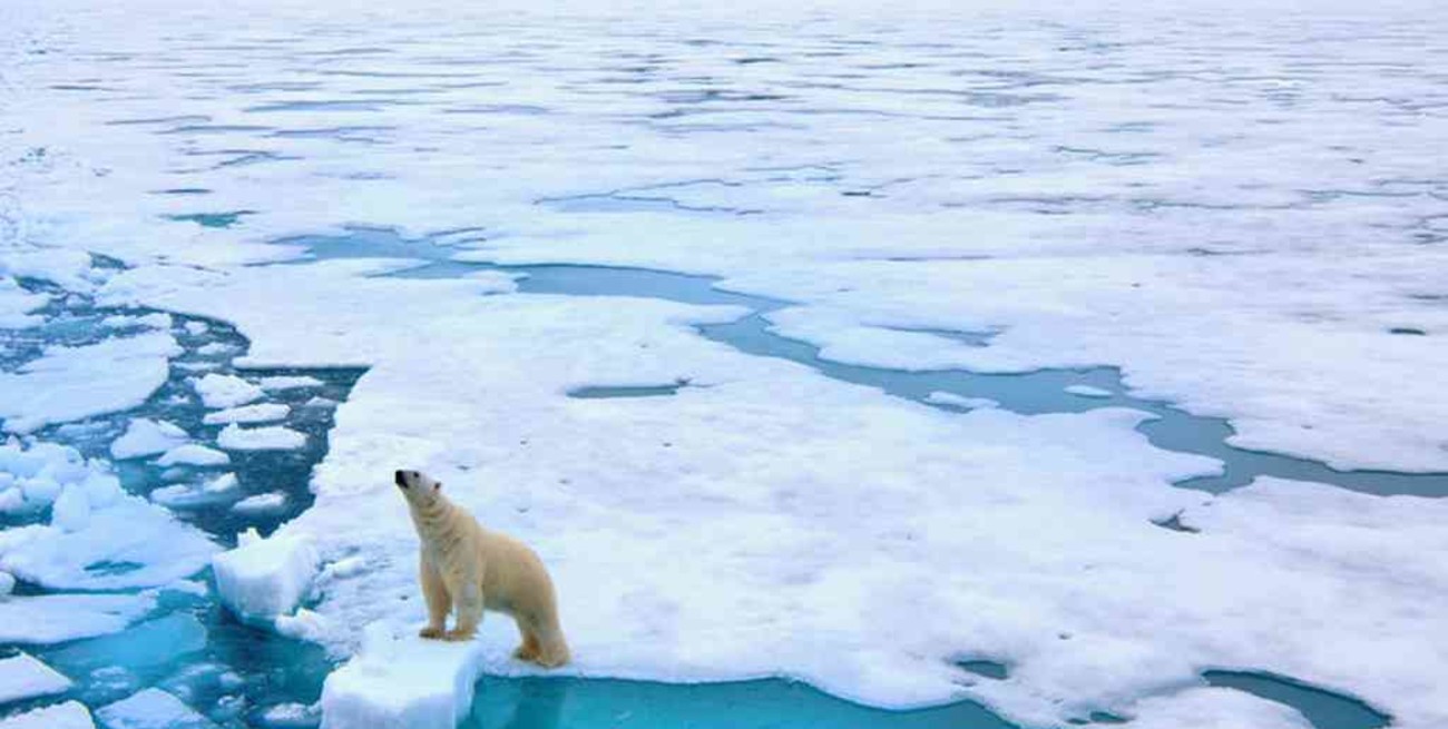 El hielo ártico se derrite dos veces más rápido de lo previsto