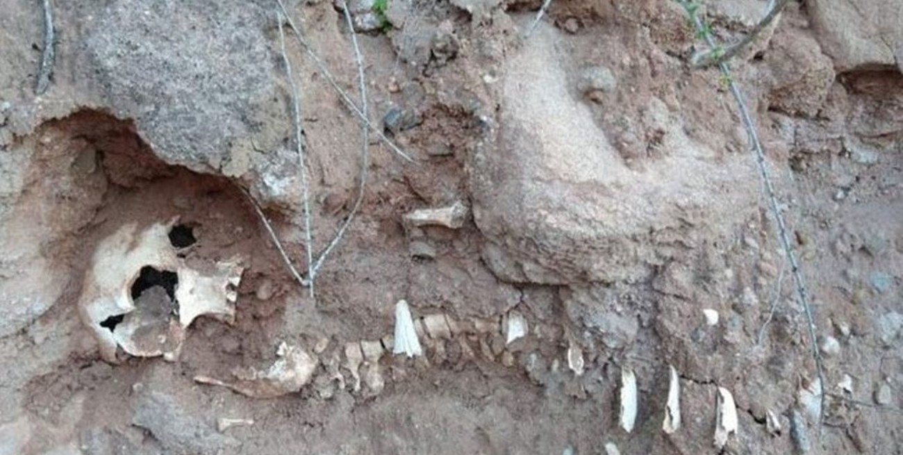 Río Negro: hallaron el esqueleto de un niño en las bardas de Isla Jordán