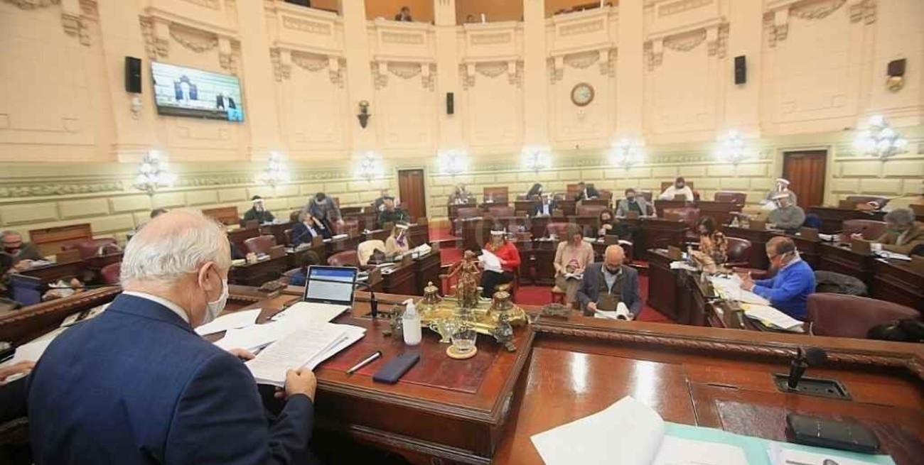 Vicentin, eje de extenso debate y de diferencias en Diputados 