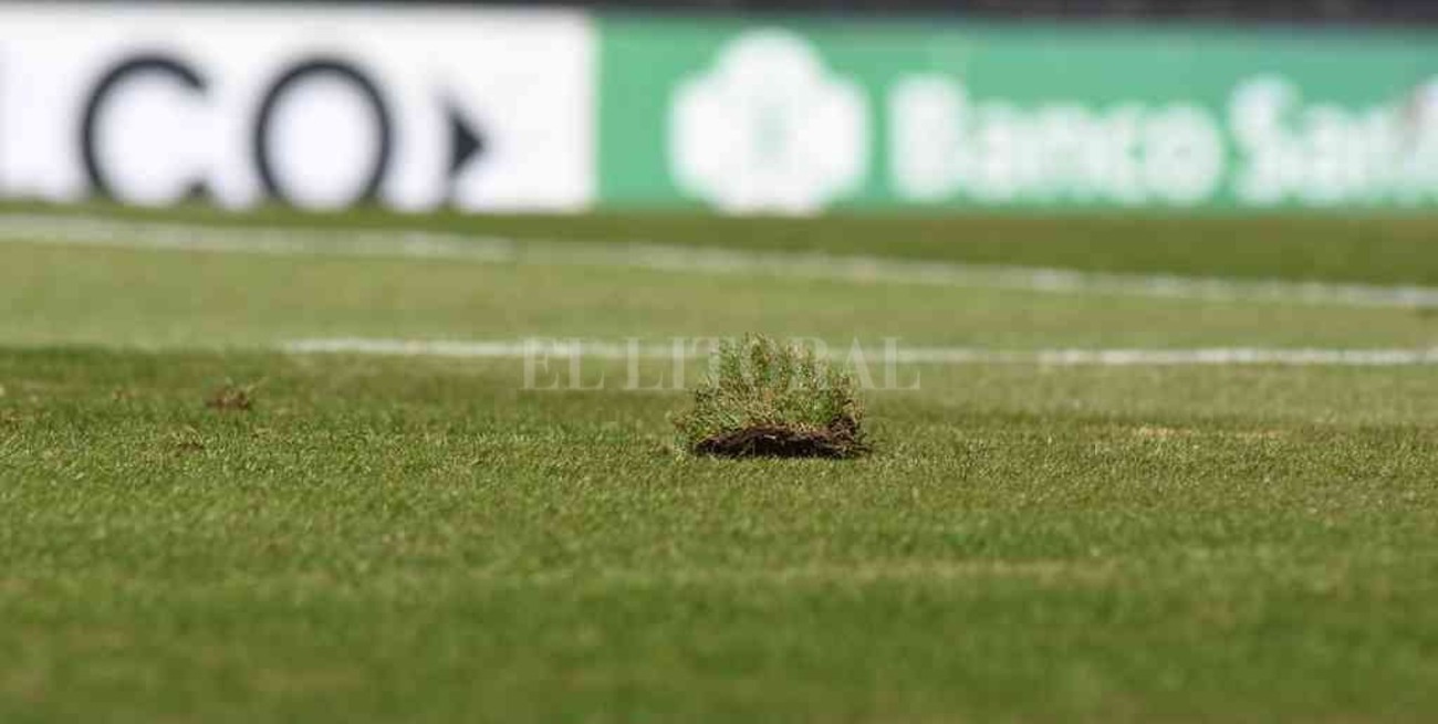 Colón inicia el mayor plan de inversión en césped de su cancha