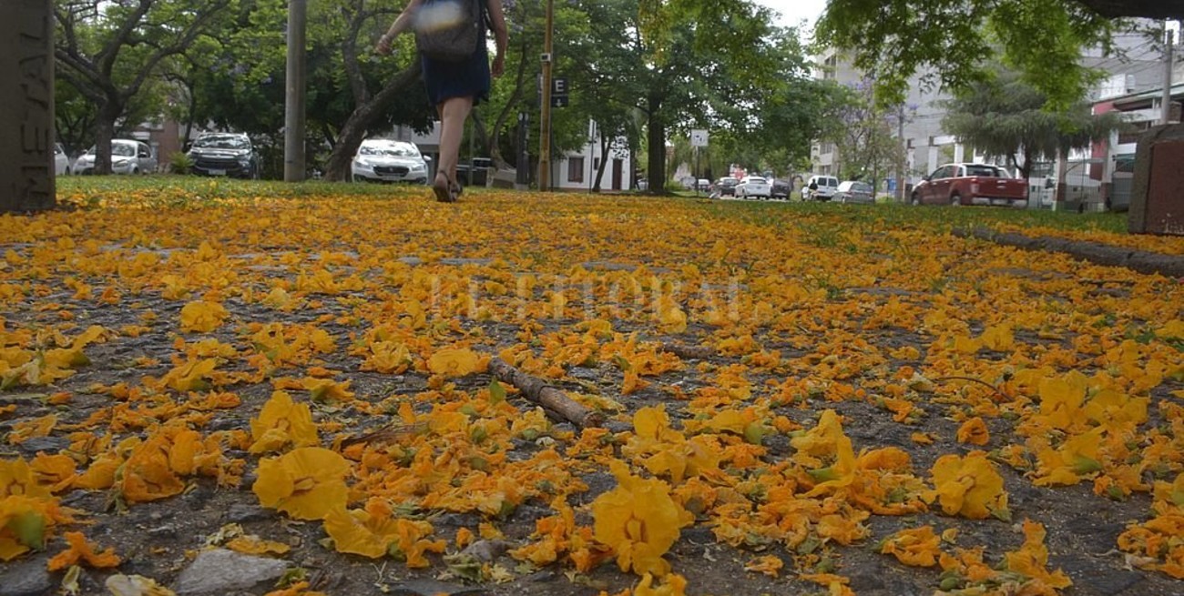 Línea directa: "pérdida de agua", "el rol de la oposición", "la política y los milagros" y otros mensajes