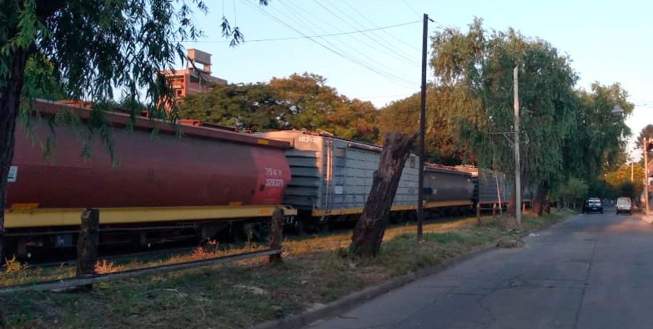 Descarriló el tren y generó algunas demoras en el tránsito