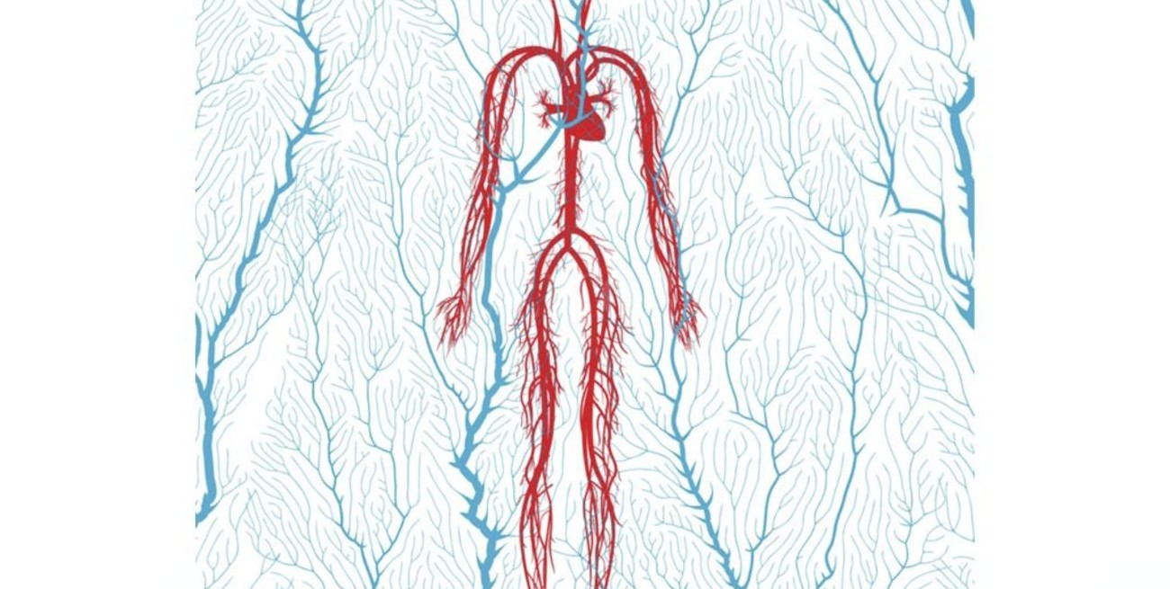 Pedro Aznar presenta su nuevo álbum: "Flor y Raíz"