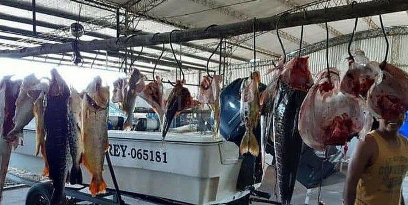 Citan a declarar a un "depredador" de surubíes en Corrientes