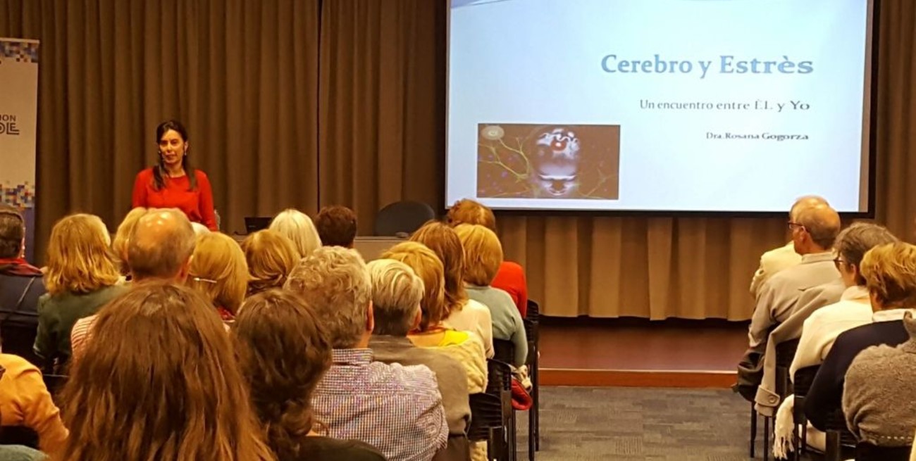 Cerebro y estrés: un encuentro entre él y yo