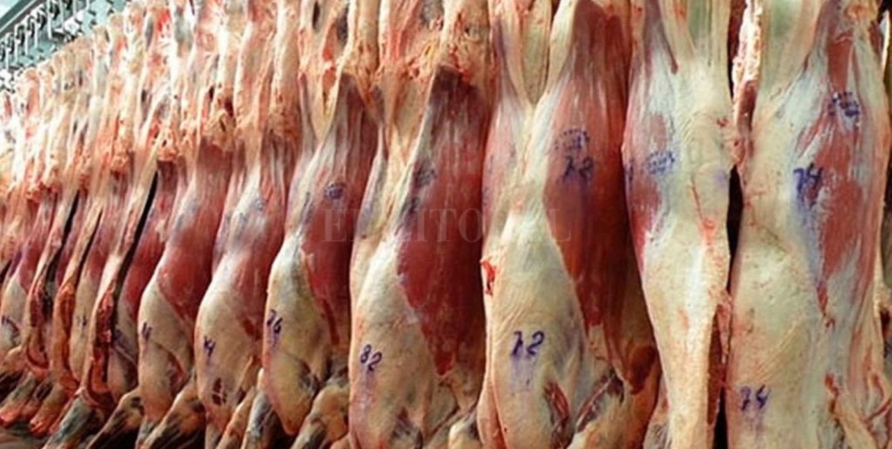 Estados Unidos habilitó cinco nuevos frigoríficos argentinos para exportar carne vacuna