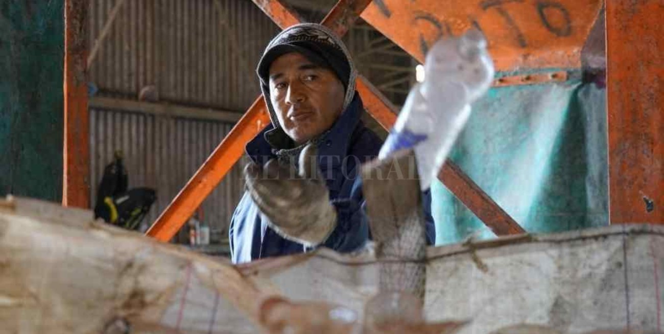 "La degradación del plástico es lenta, pero es rápido su consumo y producción" 