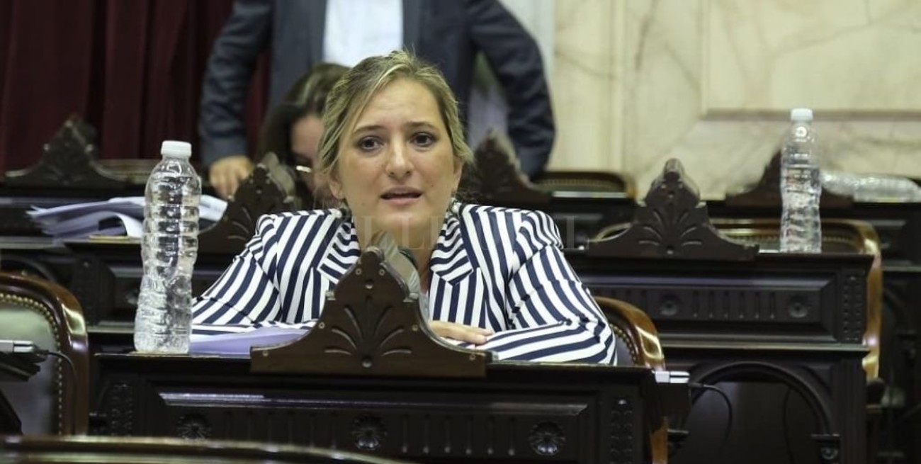 Legisladores solicitan un protocolo de tránsito en las fronteras terrestres nacionales