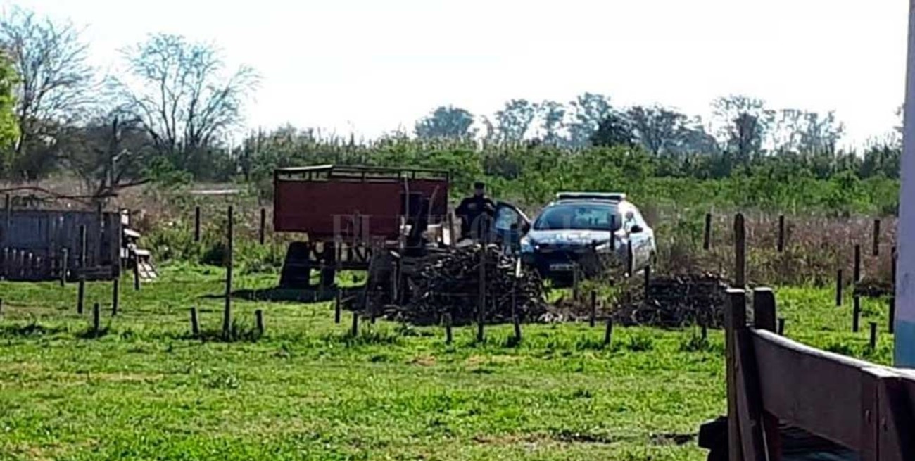 Encierran y analizan  a perros en Recreo