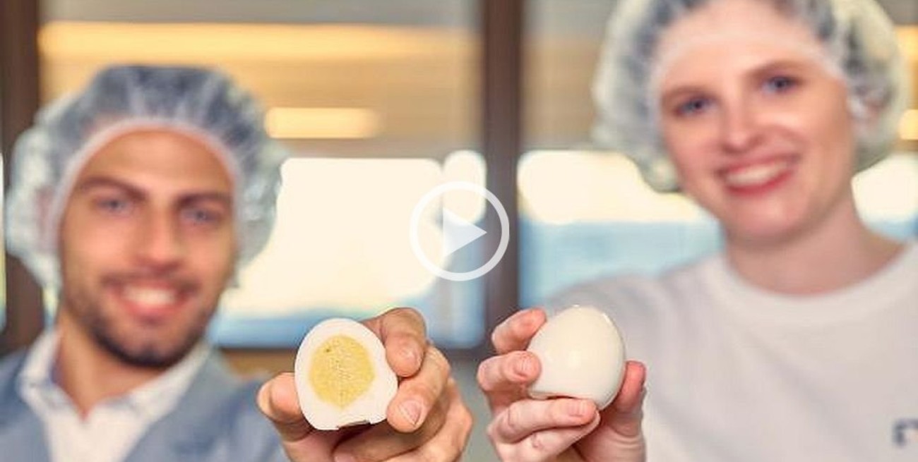 Investigadores suizos desarrollaron un huevo duro "vegano"