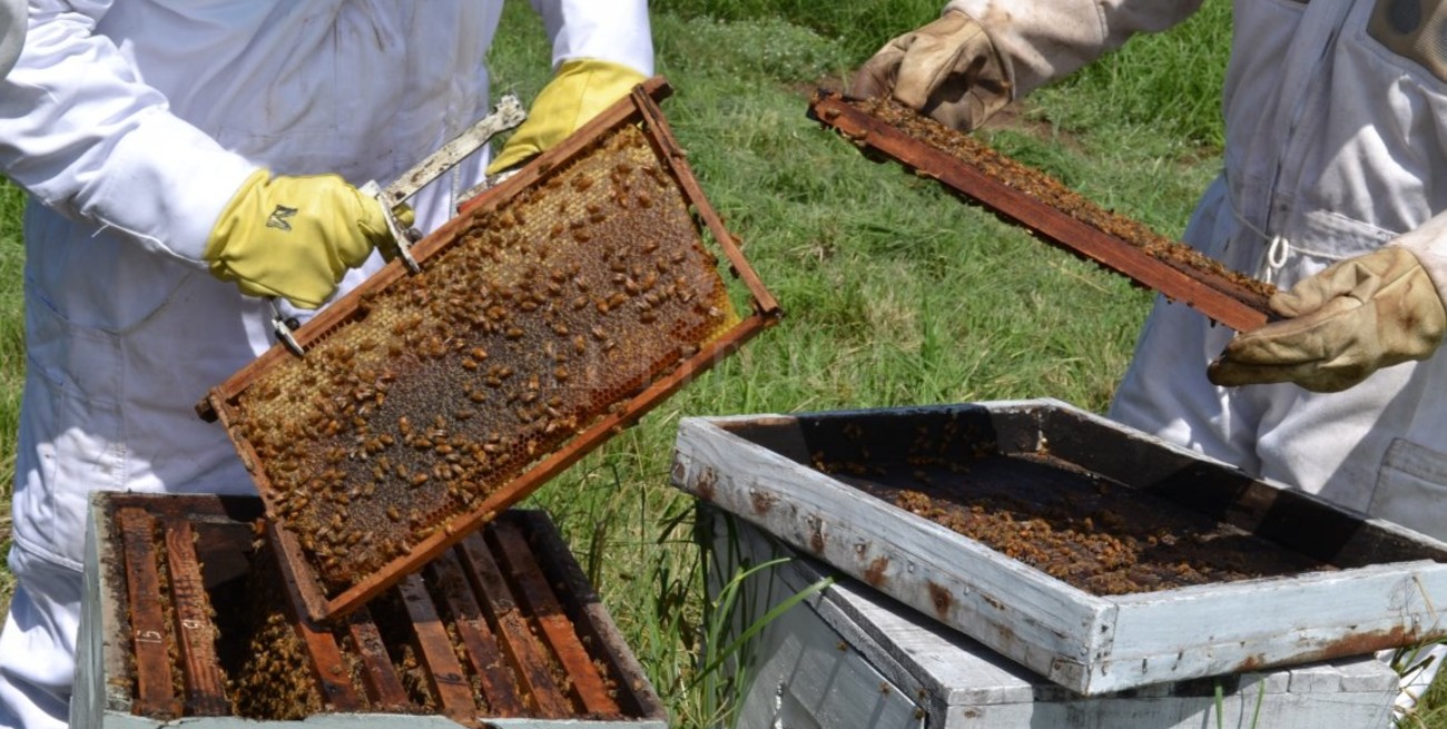 La Semana de la Miel, con actividades virtuales