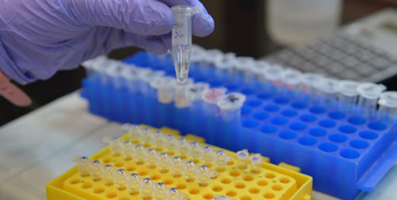 Realizan testeos "en pool" para ganar tiempo, llegar a más gente y achicar costos