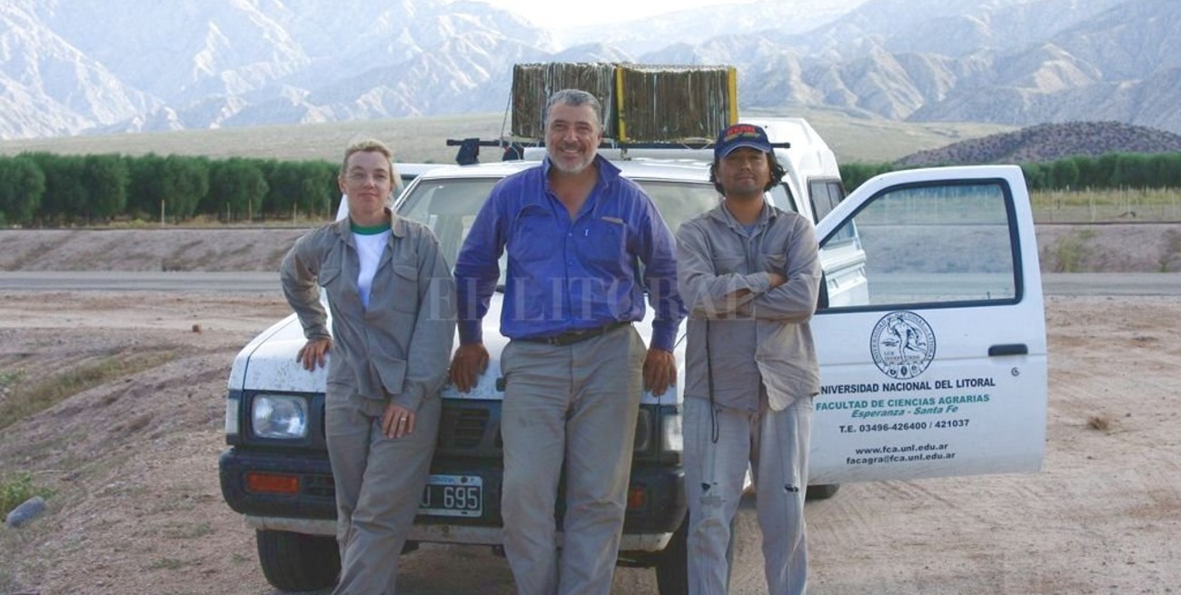 Desarrollaron forrajeras con especies salvajes y hoy los premia la Nación