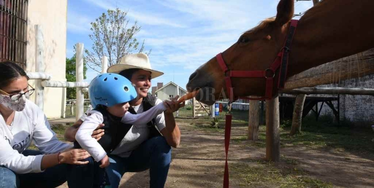 Solicitan que el ejecutivo reglamente la ley que regula la equinoterapia 