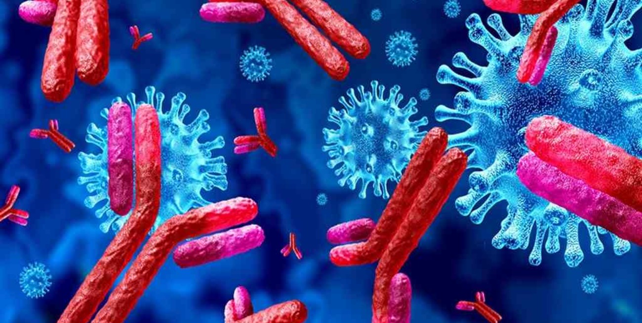 Coronavirus: hallaron un potente anticuerpo capaz de neutralizar todas las variantes