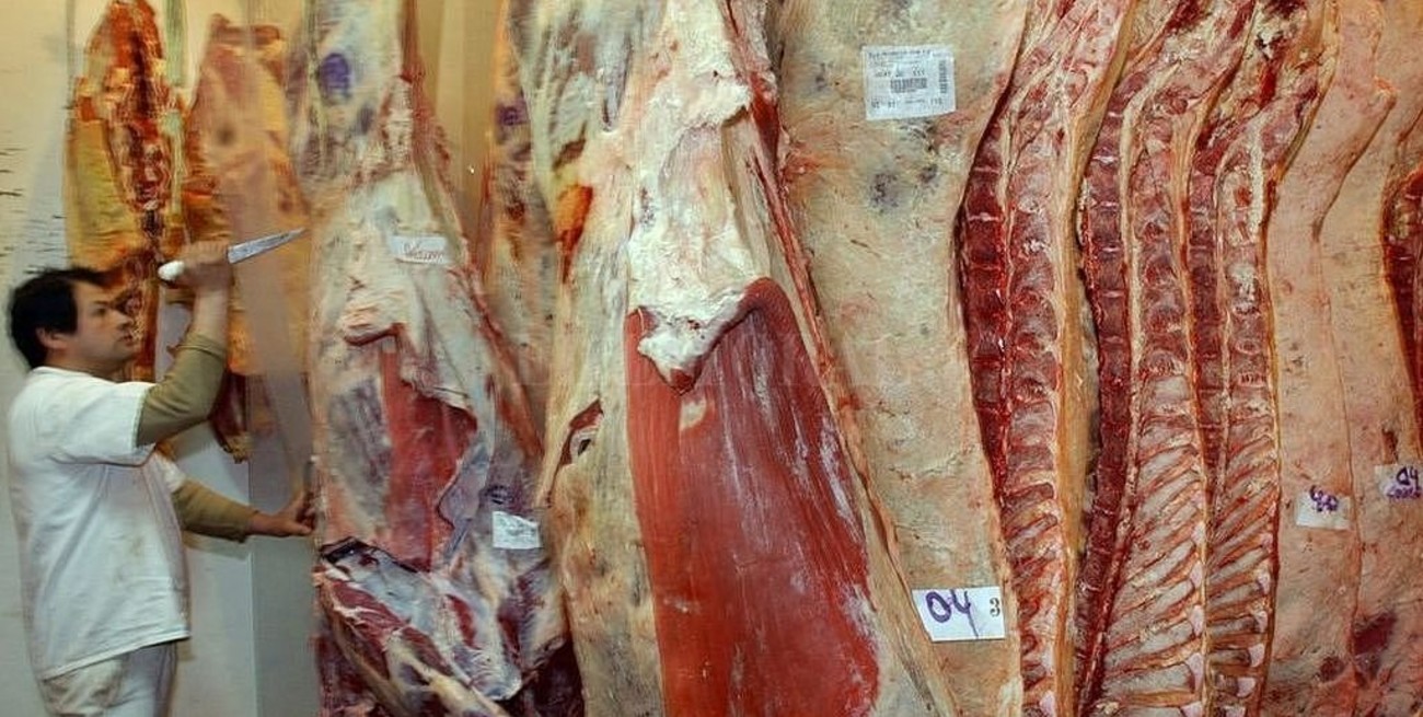 La carne vacuna "es saludable"