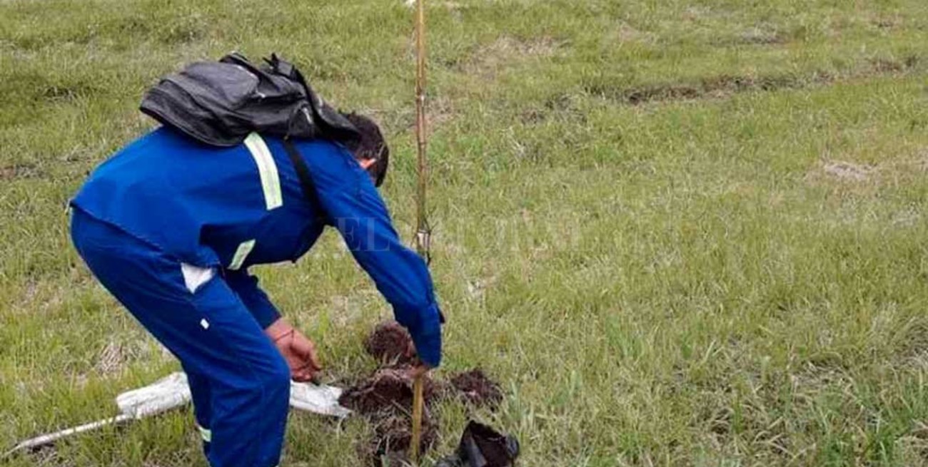 Sauce Viejo promueve el cuidado compartido de su arbolado público