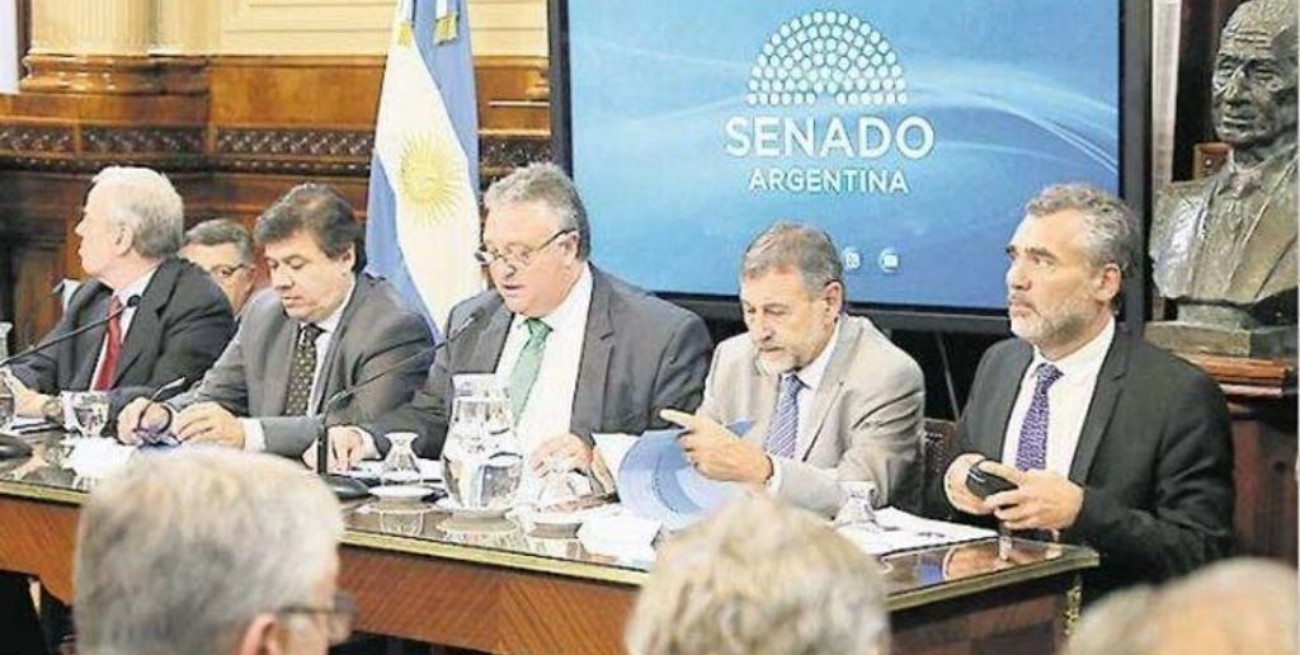 El Senado continúa con el debate de la reforma que limita las jubilaciones de privilegio