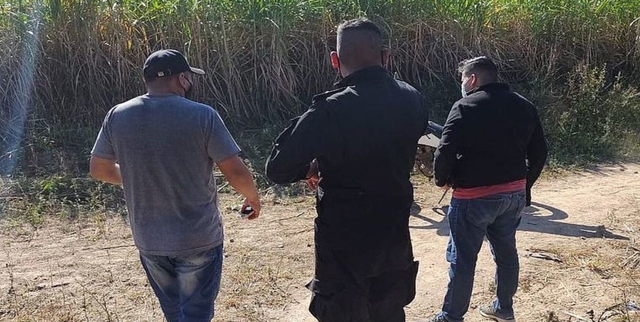 Hallaron restos óseos humanos en un cañaveral de San Pedro