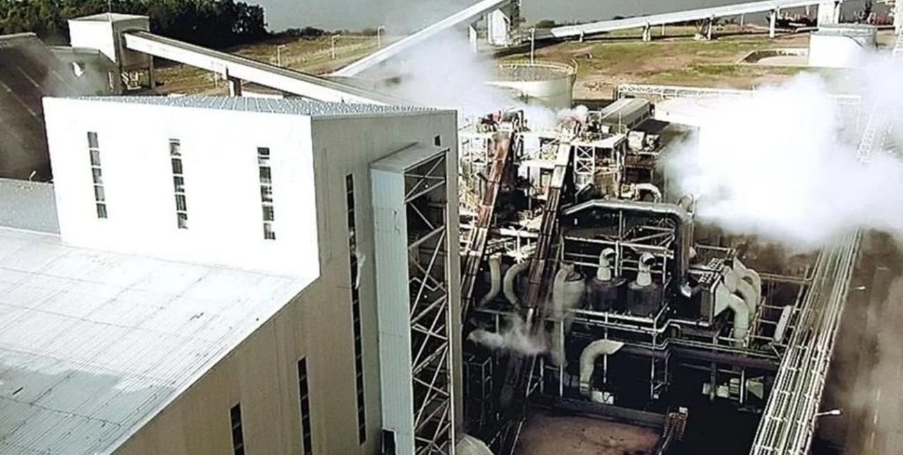 Productores piden no pesificar sus acreencias, mientras Vicentin busca acuerdos en el concurso