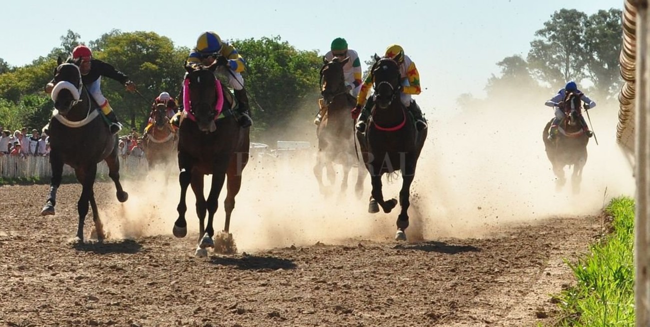 Suspenden por 7 años a un cuidador por dopar un caballo de carreras