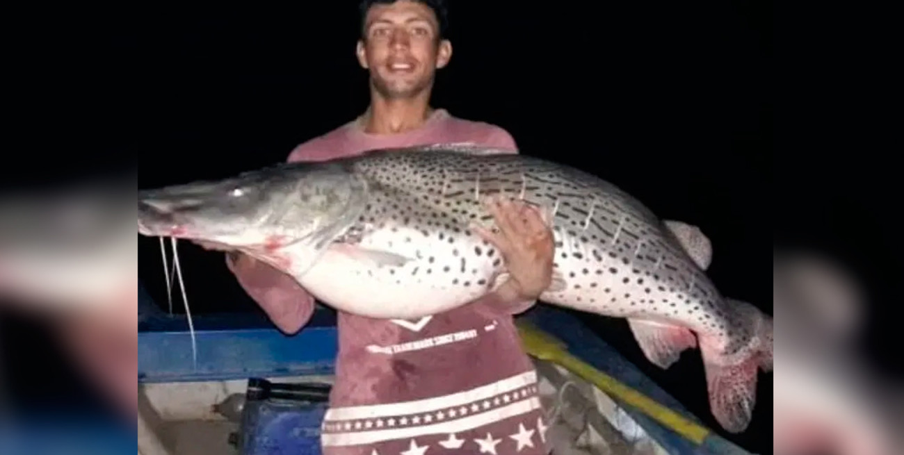 Sacó un surubí "gigante" en aguas del Río Paraná