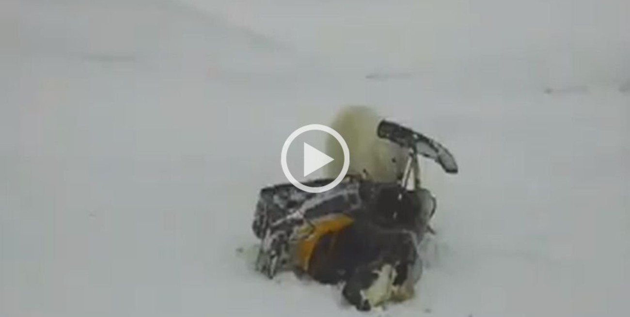 Video viral: un oso polar intentó robarse una moto de agua en Siberia