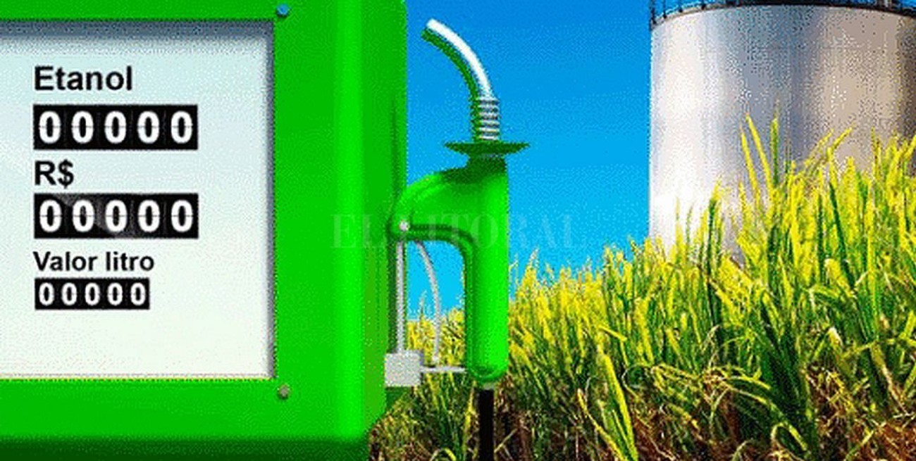 Cayó la producción de bioetanol y biodiesel durante 2019