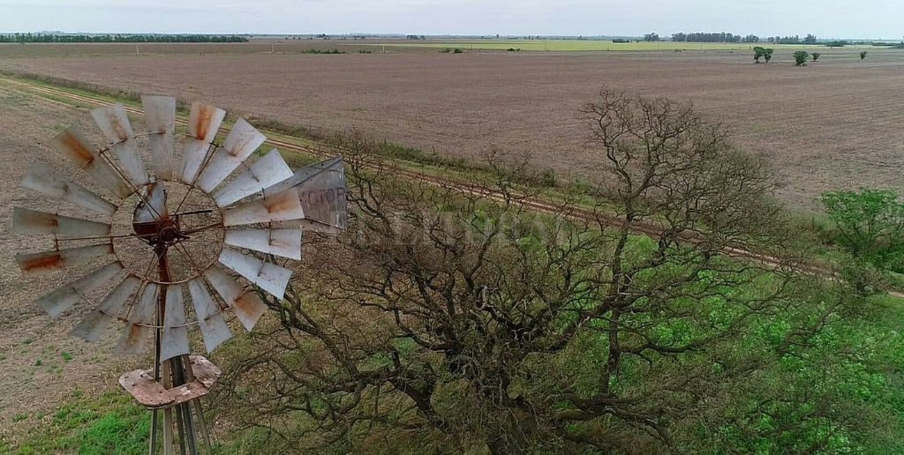 "Una medida devastadora"