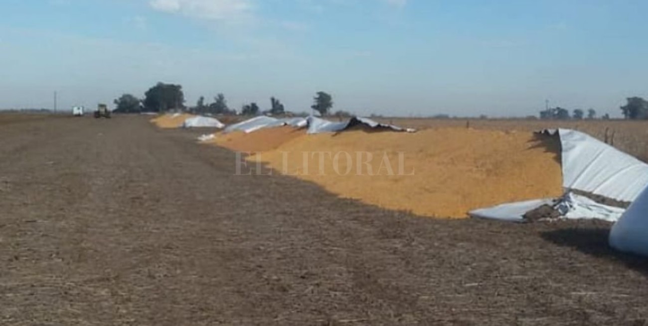 Diseñan un mapa para registrar ataques a los campos