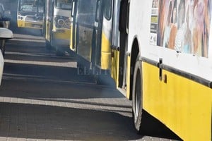 Guillermo Di Salvatore