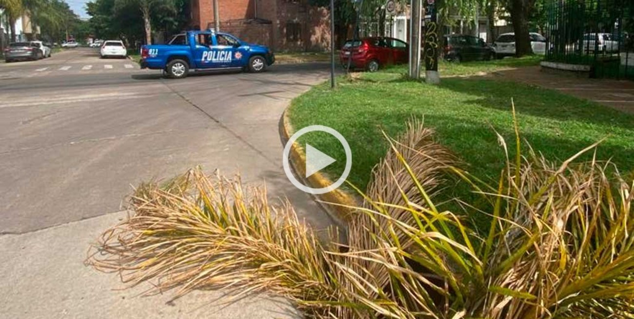 Difícil que el agua escurra: boca de tormenta tapada en barrio Candioti