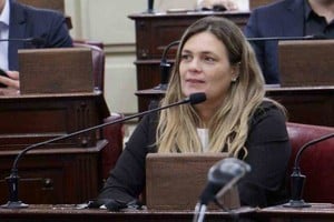 Gentileza Silvana Di Stéfano, diputada provincial de la Unión Cívica Radical (UCR ? FPCyS).