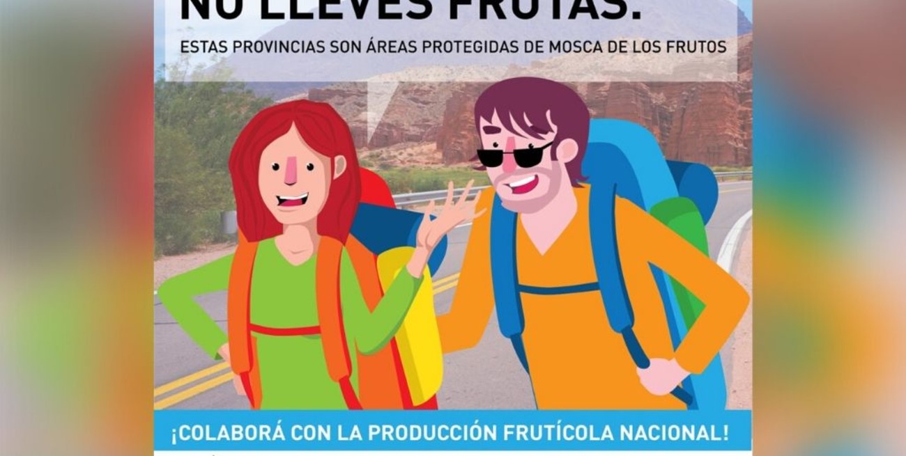 Piden no viajar con frutas a la Patagonia, San Juan o Mendoza para prevenir plaga