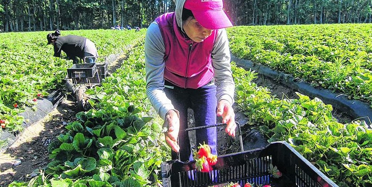 Senadores de la UCR solicitan financiamientopara pymes y trabajadores independientes