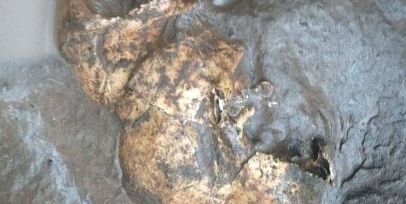 Jujuy: encontraron restos óseos en el ingenio Ledesma