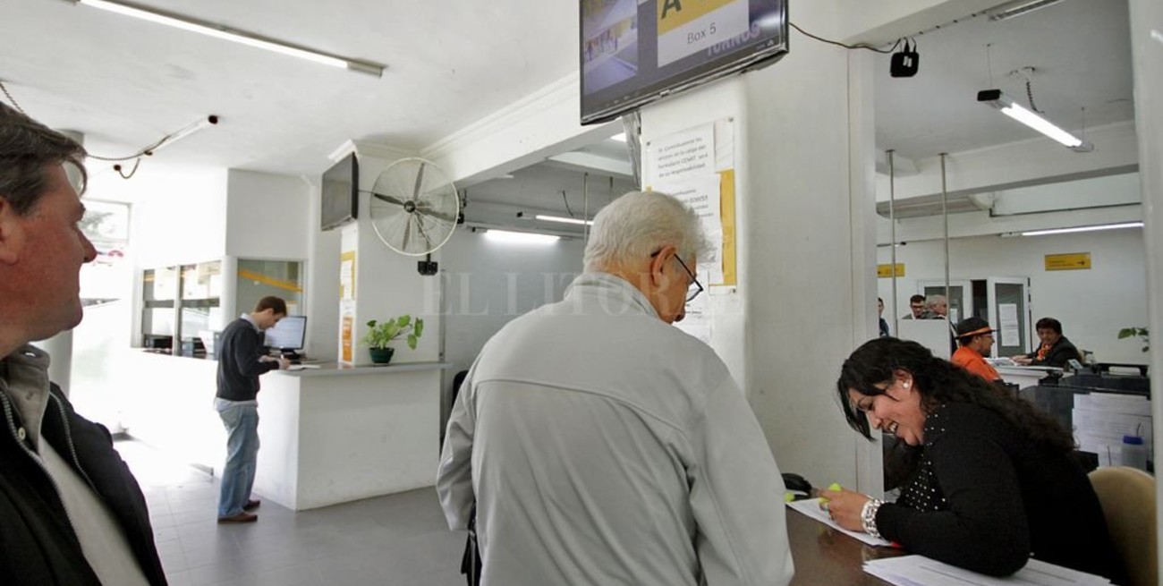 La licencia de conducir se tramita sólo por la mañana en el verano