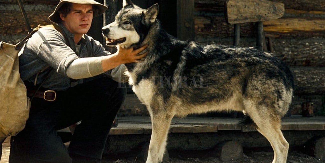 Recuperar el instinto 