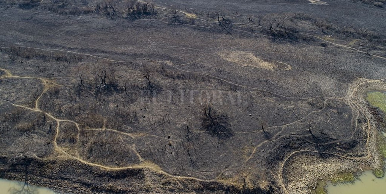 Extinguieron los incendios en el Delta de Entre Ríos