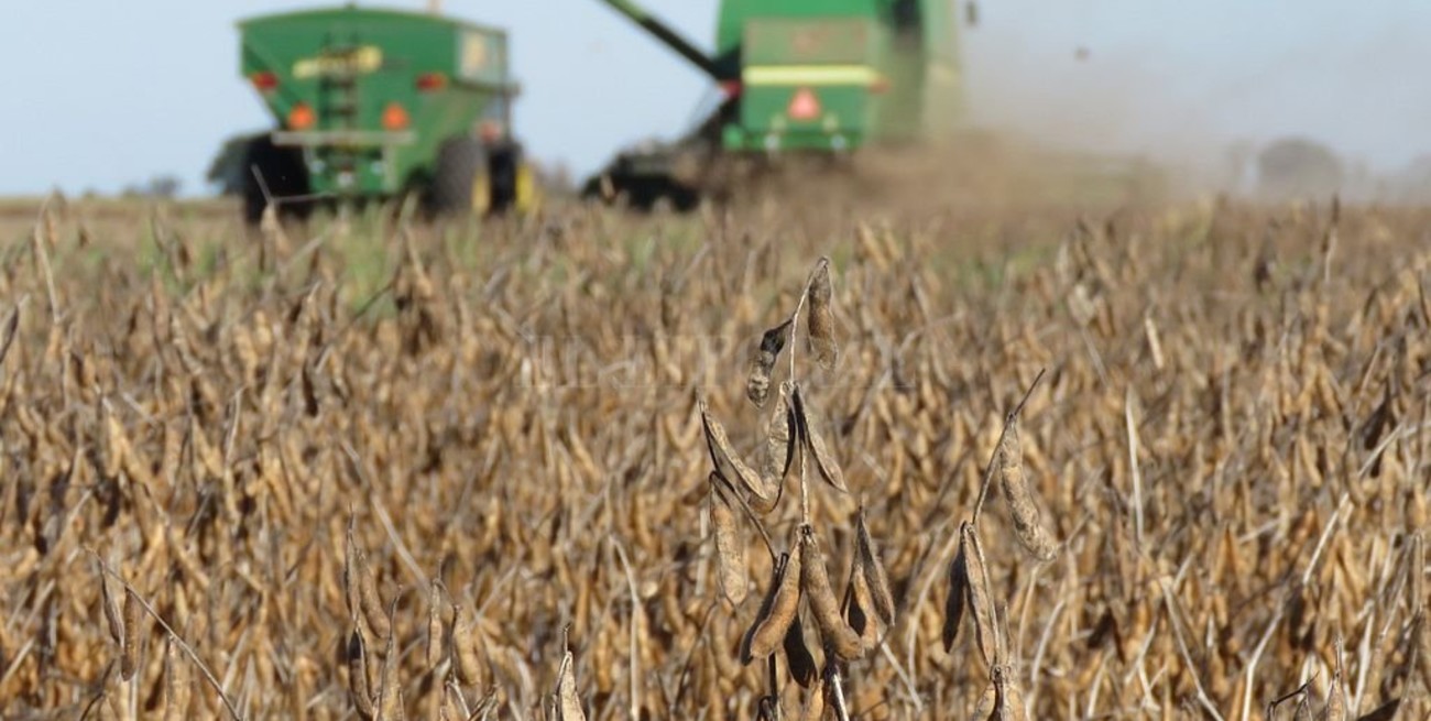 Uno de cada cuatro dólares exportados proviene de la soja y sus derivados