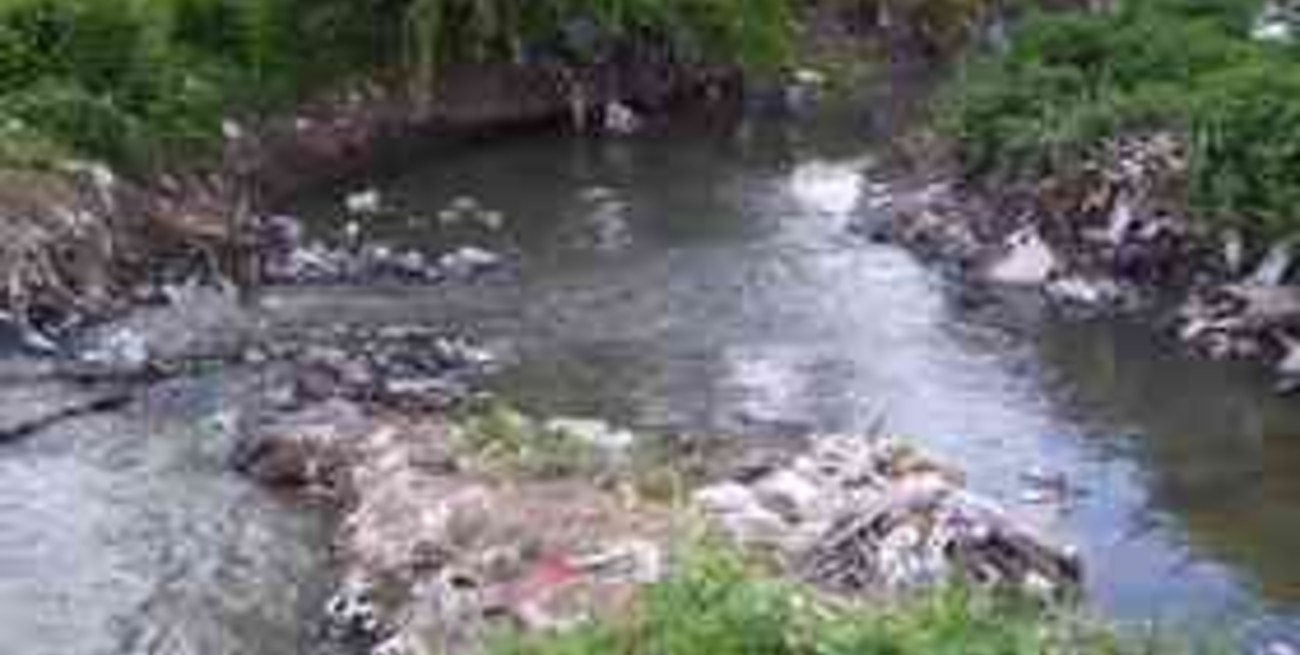 Contaminación del arroyo Pavón y el gran potencial por el que urge recuperarlo