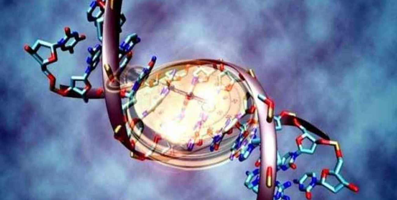 Desarrollan un reloj epigenético que predice la evolución de pacientes con cáncer