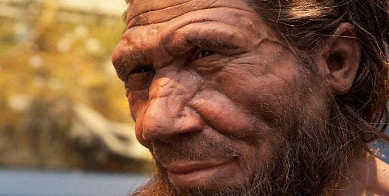 El neandertal hablaba igual que el homo sapiens